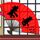 九五至尊